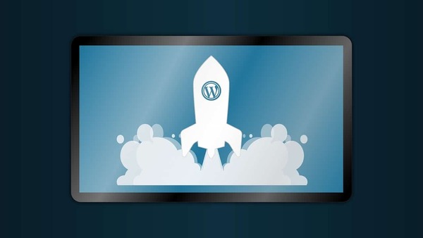 wordpress illustration