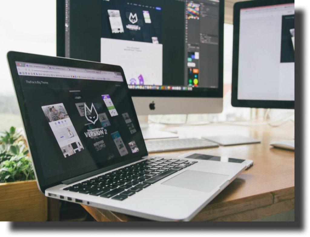 web-design-for-dummies