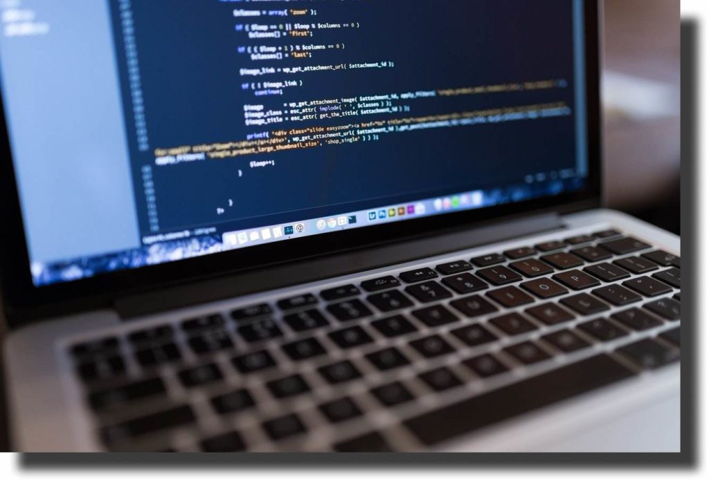 webflow vs wordpress