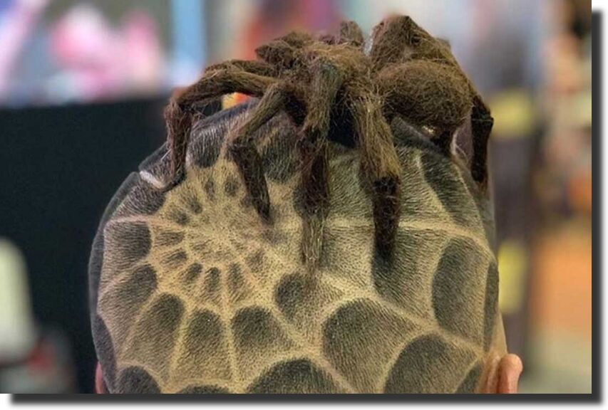 Spider Web Hair Design 