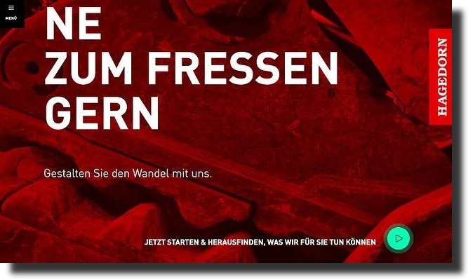 The Hagedorn Group